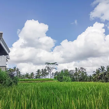 Umah Geina Ubud