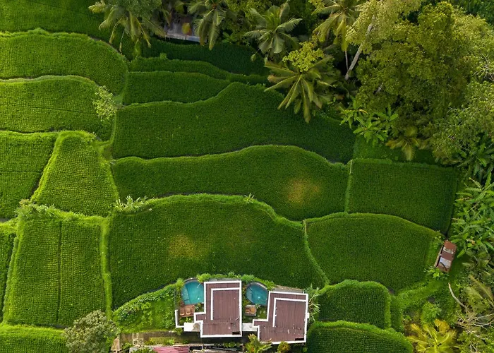 Umah Geina Ubud